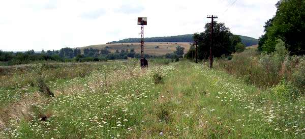 Overgrown track